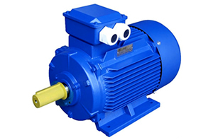 交流永磁同步電機(jī)